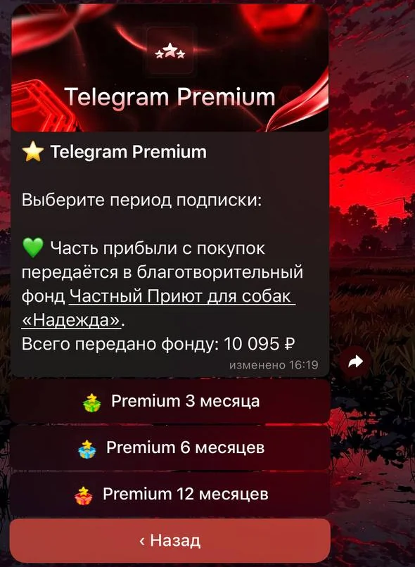 Выбор срока Telegram Premium в магазине: 3, 6 и 12 месяцев